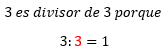Divisor de un número por sí mismo